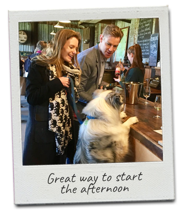 half-day-wine-tour-with-dogs