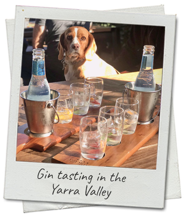yarra-valley-gin-tastings
